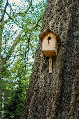 Birdhouse on a tree in the spring Park.