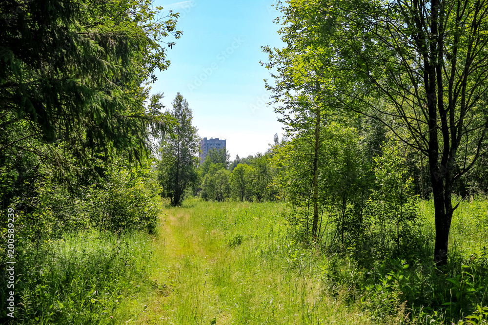 New buildings behind the forest
New buildings behind the forest