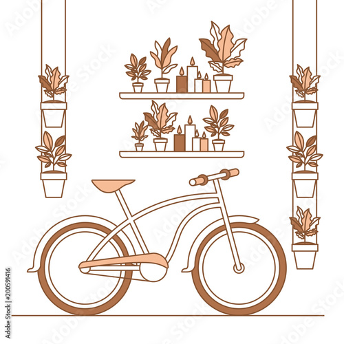 group of houseplants and bicycle home decorations