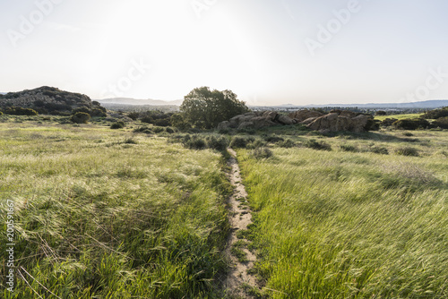 Spring meadow trail morning...