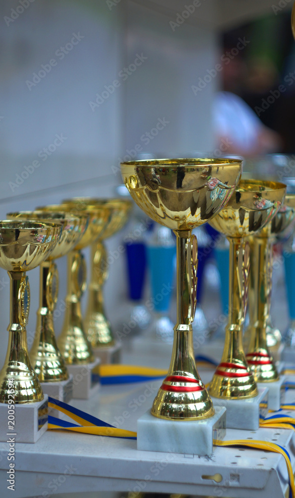 Obraz premium Awards, cups, medals and trophies to the winners at the exhibition of dogs in Kiev Ukraine