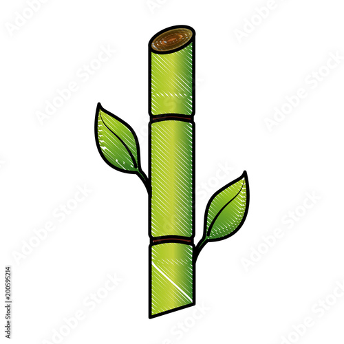 sugar cane resource biofuel renewable vector illustration drawing