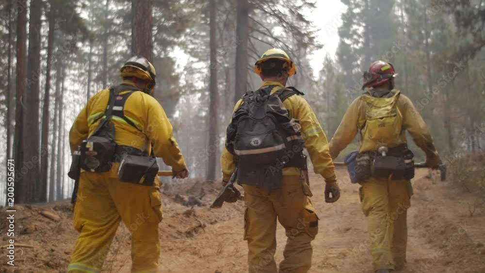 Hotshot Crew Hero Walk through Smokey Forest During Wildfire Hotshot Crew Hero Walk through Smokey Forest During Wildfire