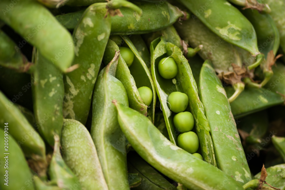 Fresh peas in a pile on a market stall in Istanbul, Turkey Fresh peas in a pile on a market stall in Istanbul, Turkey