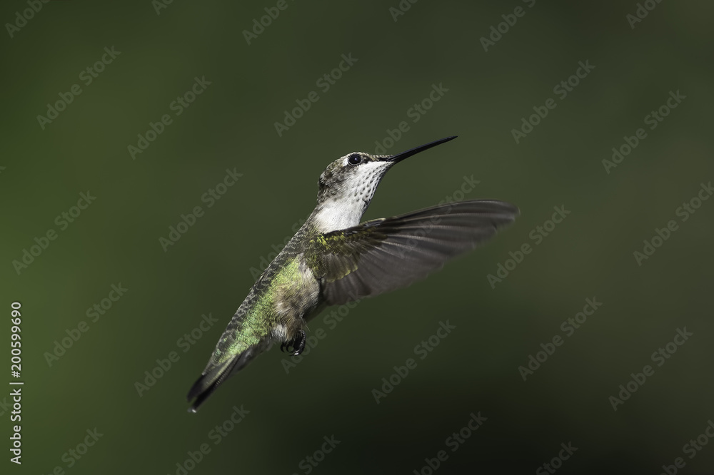 Obraz premium Keep Looking Up