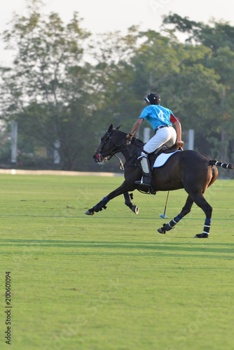 Horse polo player riding horse in games.