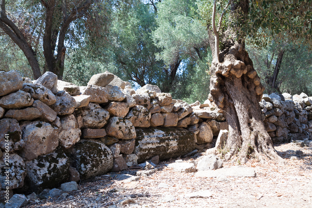 A wall composed of stones and columns of ancient times on the Sideyri island in Turkey A wall composed of stones and columns of ancient times on the Sideyri island in Turkey