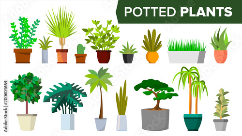 Potted Plants Set Vector. Indoor Home, Office Modern Style Houseplants. Green Color Plants In Pot. Various. Floral Interior Icon. Decoration Design Element. Isolated Flat Illustration