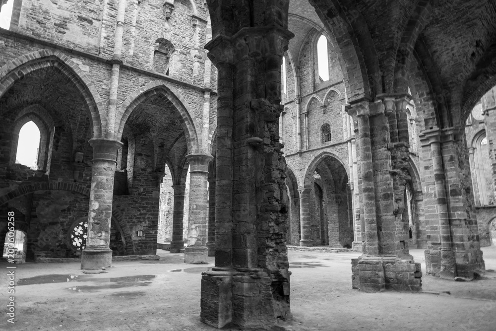 Ruined Abbey Belgium