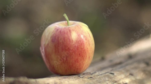 high speed shot of an arrow going through an apple photo