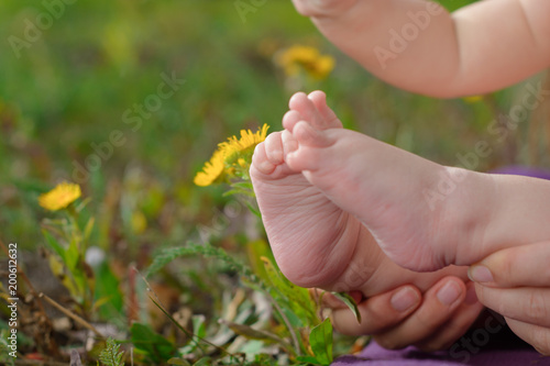 Baby feet and flowers