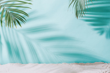 Summer concept. Palm tree shadow on a blue  background.