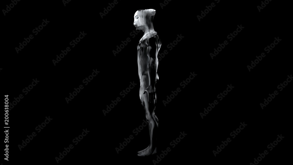 Cyborgs head whith carbon light 5 Cyborgs head whith carbon light 5