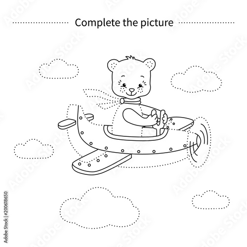 Bear on the airplane.