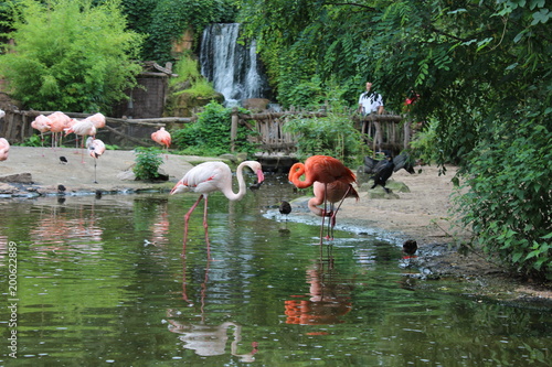Zoo Hannover