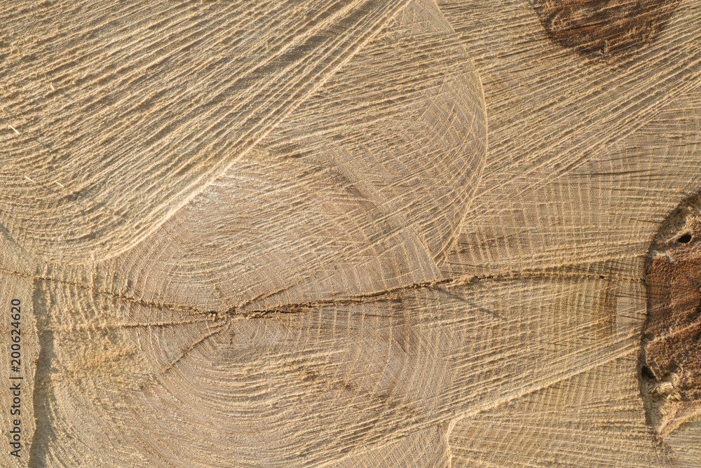 Fototapeta premium cut wood texture background