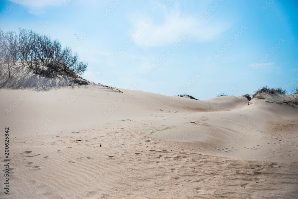 sandy beach to the sea