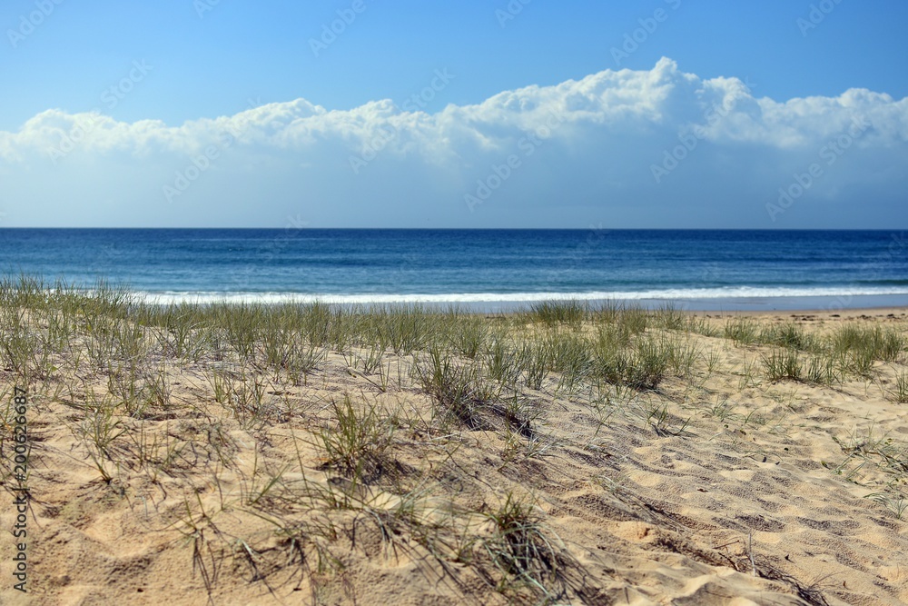 Beach scene with storm on horizon and sand dune foreground