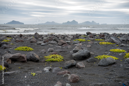 Iceland southern coast with black  beach Landeyjarsandur and Vestmannaeyjar islands. The Westman Islands in the background photo