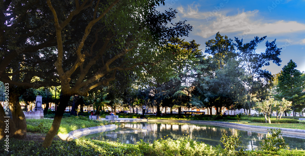Φωτογραφία View of the small lake located in Cordoaria's Garden in the center of Porto, Por