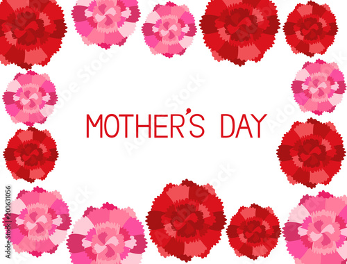 母の日9　カーネーション