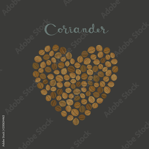 Coriander seeds spice in a heart shape on the black background