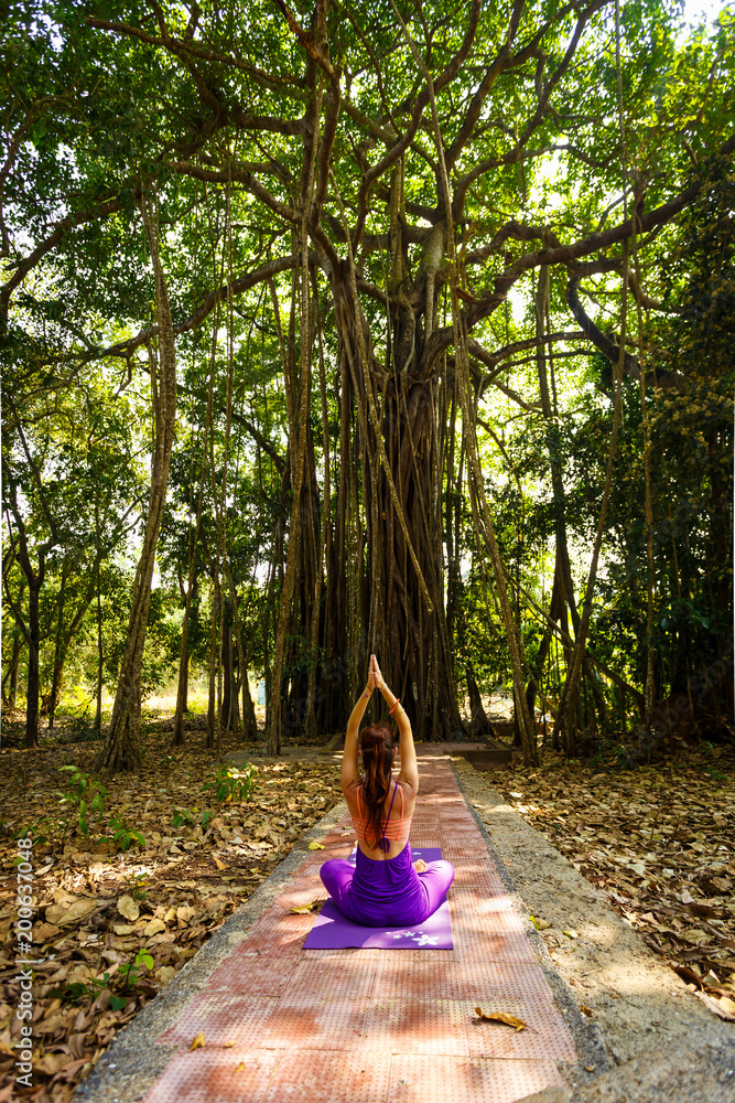 Sophie Song London: Easy-to-do Yoga Poses in Nature