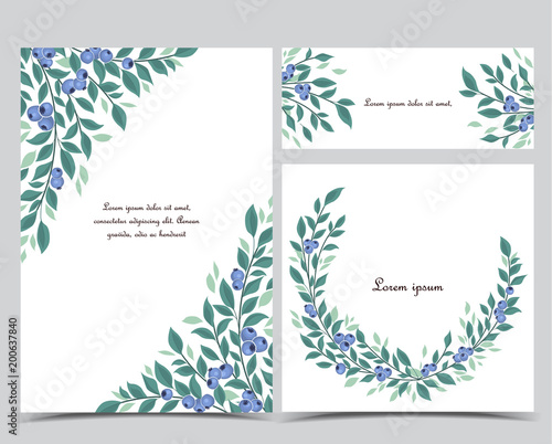 Vector illustration of blueberries fruit and leaves on a white background