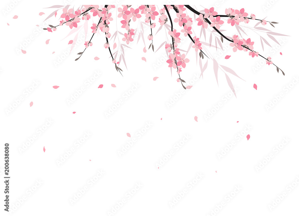 Vector illustration Sakura branch decoration. Floral background. Pink flowers Vector illustration Sakura branch decoration. Floral background. Pink flowers