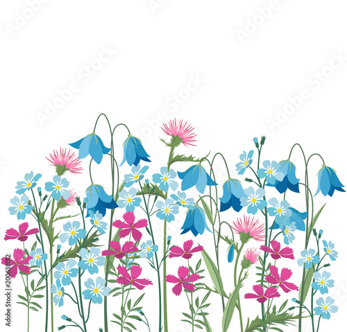 Vector illustration of colorful flowers. Frame floral decorations on a white background.