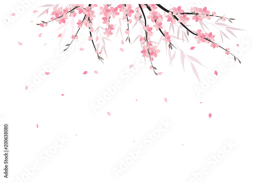 Vector illustration Sakura branch decoration. Floral background. Pink flowers