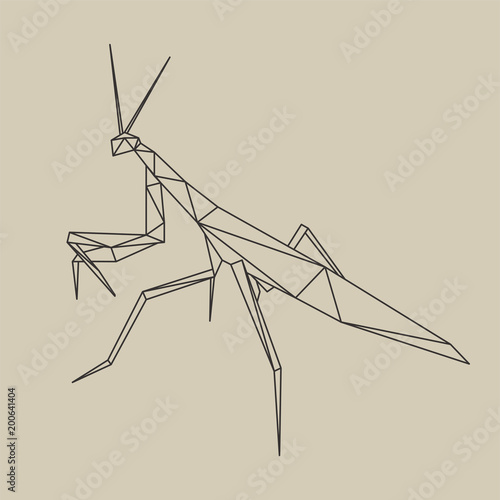 Origami polygonal line style mantis. Vector illustration.
