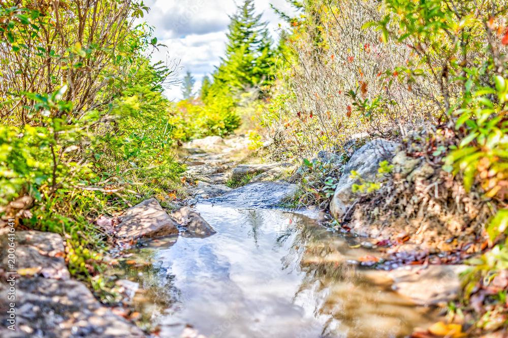 Large puddle on boggy bog area hiking trail in Dolly Sods, West Virginia between bushes and calm reflection closeup with rocks or stones landscape Large puddle on boggy bog area hiking trail in Dolly Sods, West Virginia between bushes and calm reflection closeup with rocks or stones landscape