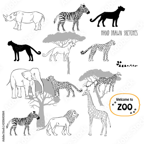 Zoo animals sketches background