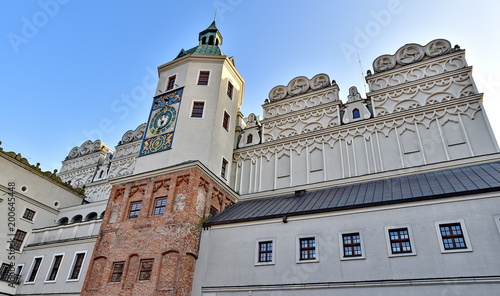 Detail des Schlosses Szczecin