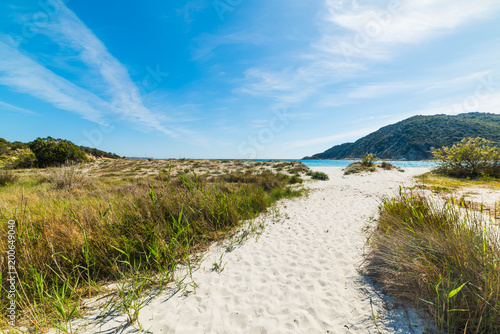 Fototapeta Naklejka Na Ścianę i Meble -  White sand in Cala Pira