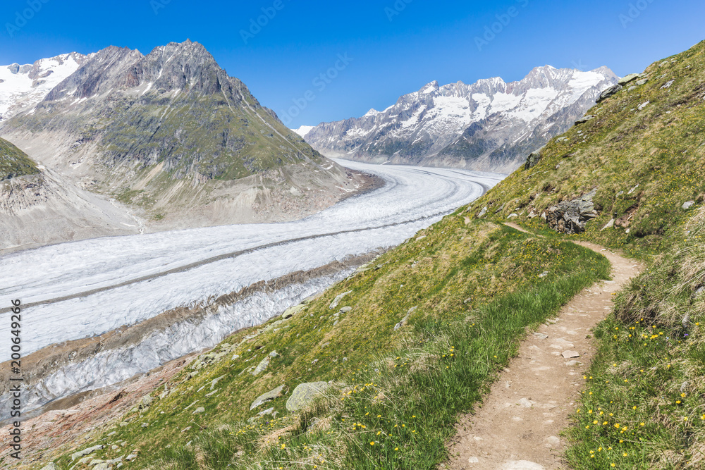 Fototapeta premium Aletsch glacier in Switzerland
