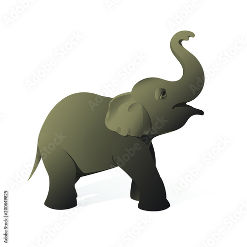 A little cute baby elephant stands on a white background.