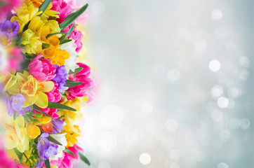freesia and daffodil flowers border
