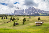 Mount Langkofel (Sassolungo) in the Dolomites of South Tyrol, Italy
