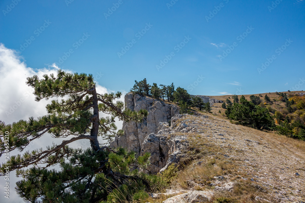 The south coast of Crimea. At the top of the Ai-Petri mountain, Crimea
The south coast of Crimea. At the top of the Ai-Petri mountain, Crimea
