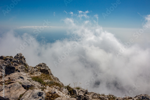 The south coast of Crimea. At the top of the Ai-Petri mountain, Crimea 