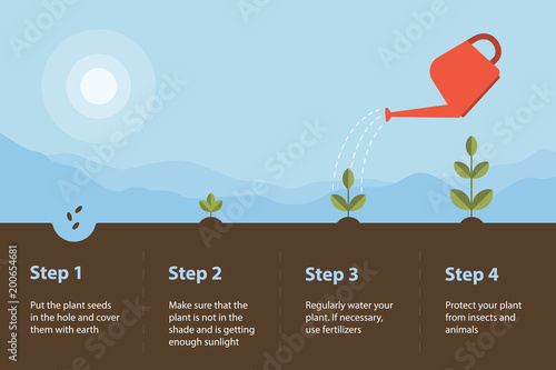 Stages of plant growth. Farming. Gardening. Infographics. Watering and protection of the seedling. Vector flat illustration.