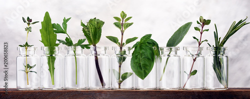 Homegrown and aromatic herbs in glass