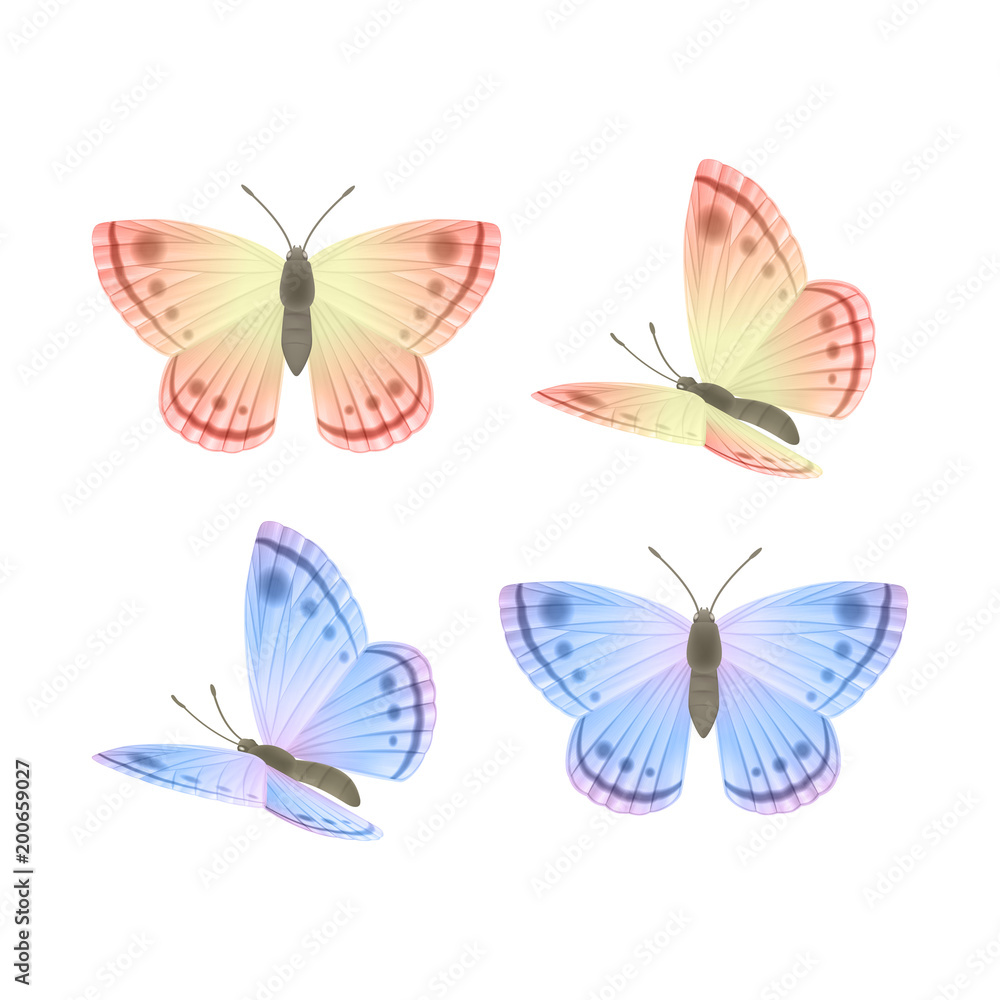 Obraz premium Vector Butterflies Set