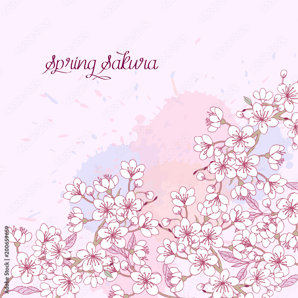 Spring Background with Sakura Blossom Trees