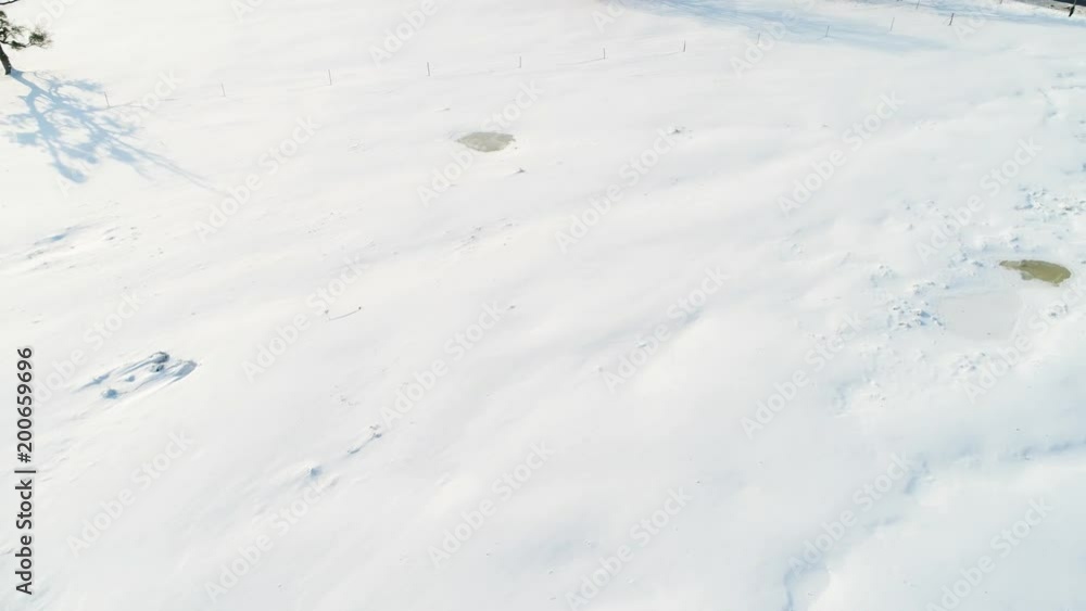 aerial video, snowy landscape with tree aerial video, snowy landscape with tree