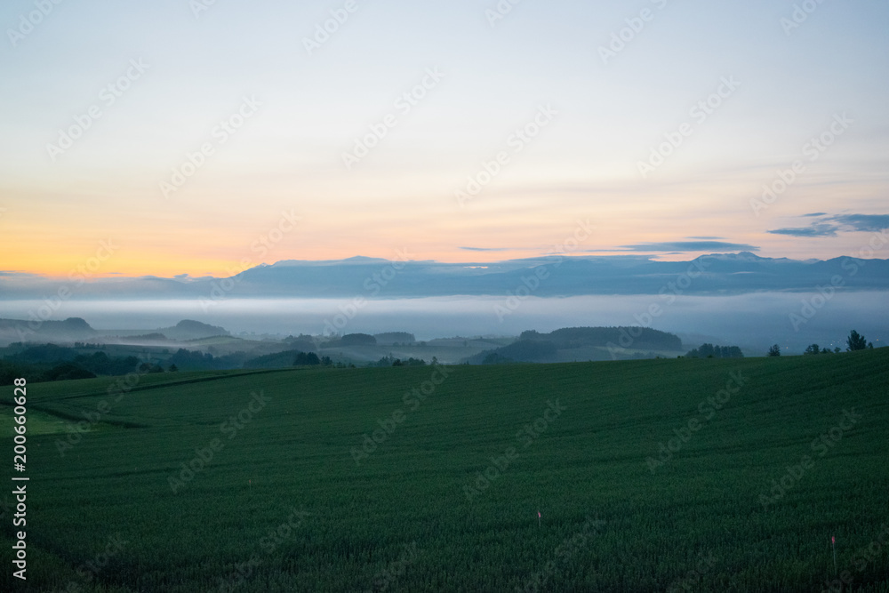 朝霧の丘　夜明け　丘の風景　美瑛　上富良野　富良野