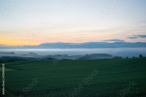 朝霧の丘 夜明け 丘の風景 美瑛 上富良野 富良野