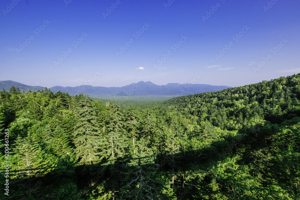 Obraz premium 松見大橋からの眺め